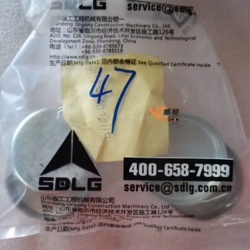 SDLG 4110000924057 Plug 0.08kg for machine with good price