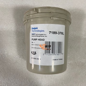 Original Delphi Fuel Pump Head Rotor 7189-376L for machine with good price