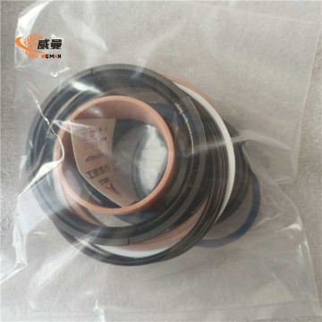 SDLG  Enhance cylinder sealing kit   4120004769010  for machine with Good Quality and Price