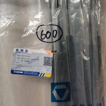 XCMG 801701502 QD19-510×165×400N-AA Gas Spring 0.3kg with good price