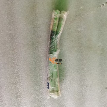 253002931 Hydraulic hose