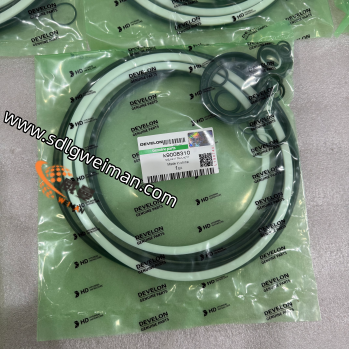 DOOSAN & DEVELON K9008310 AELING KIT TRAVIL MOTOT