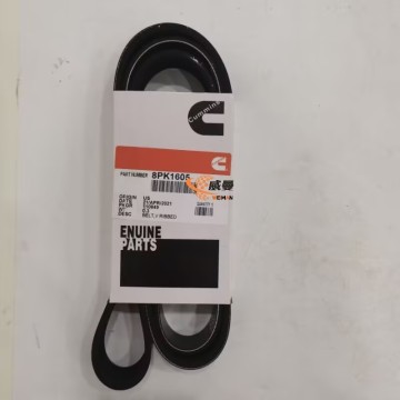 Original Cummins 110849/Liugong 8pk1605 Belt 0.25kg for machine with good price