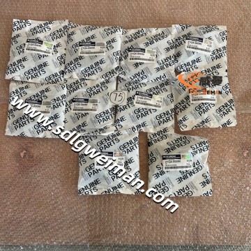 Hyundai KEY 21Q4-00090 for Hyundai Excavator R140LC9 R140W9