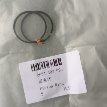 ZF Piston Ring 0634402025: A Precision Engine Component