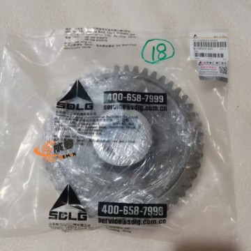 SDLG 4110000218099 output gear BDS05-00016 4.8kg for machine with Good Quality and Price