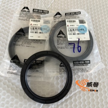SDLG Sealing Ring 4030001002: Essential Sealing Components for Machinery