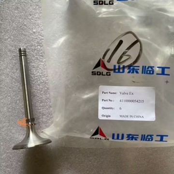 SDLG 4110000054215 Exhaust Valve 0.125kg for machine with good price