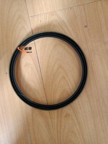 SDLG Sealing ring 4043000057 LGB307-95 for LG wheel loader with good price