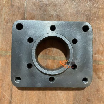 Z310280340 Pump disc