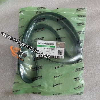 DOOSAN & DEVELON 130205-00251 BELT ENG