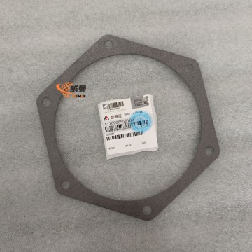 SDLG 4110000556189 Water Pump Gasket - 0.02KG Reliable Sealing Component