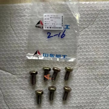 SDLG 4011001241 Screw GB5783-M1225f1Znyc-8.8-480 for LG Machinery with good price