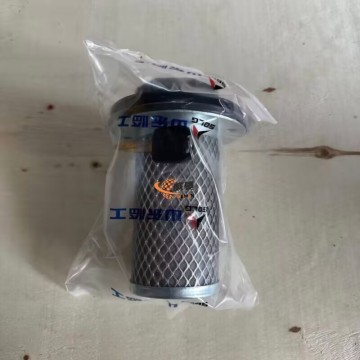 SDLG 4110000613 Fuel tank filter element 1kg for LG Machinery with good price