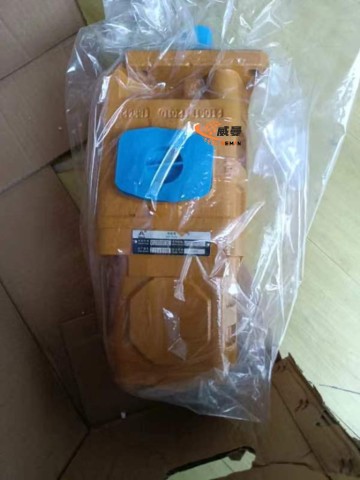 SDLG 4120008730 Gear pump HPT3-100P124-10 for LG wheel loader with good price