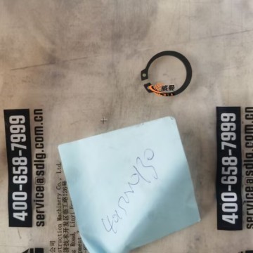 SDLG 4015000130 Retaining Ring 0.01kg for machine with good price
