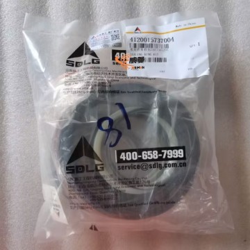 SDLG 4120015737004 Sealing Ring Kit 0.45kg for machine with good price