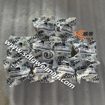 Hyundai PLUG-CAP P290-100106 for Hyundai Excavator R160LC-3