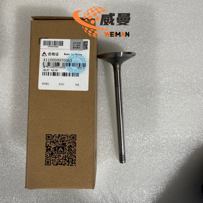 4110000970063-3_副本