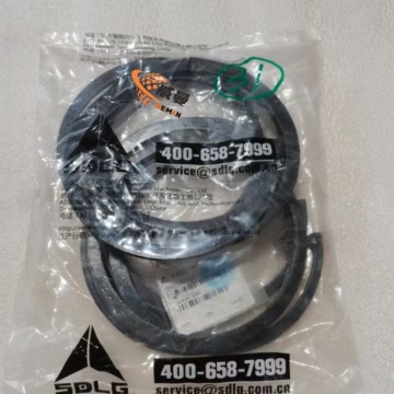 SDLG 29050016931 Retaining Ring for machine with Good Quality and Price