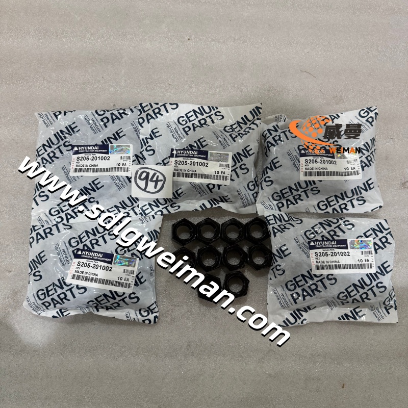 S205-20100B(S205-201002)-4