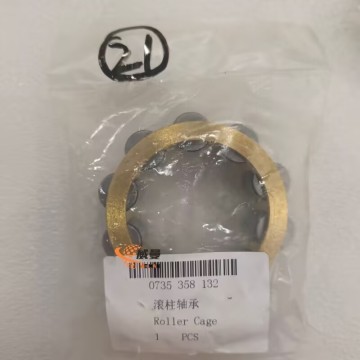 ZF 0735358132 Roller cage 4110000076104 for machine with Good Quality&Price