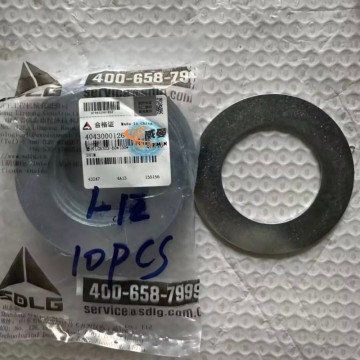 SDLG 4043000128 Sealing ring LGB307-65 for LG Machinery with good price