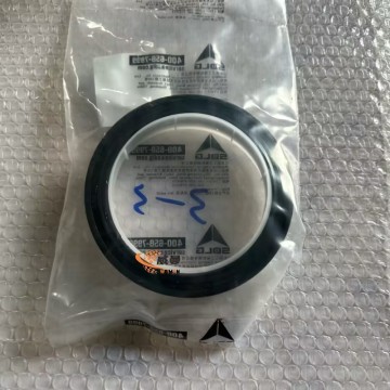 SDLG  Sealing Ring 4110000560341 for LG Wheel Loader with good price