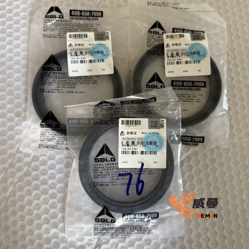 SDLG Sealing Ring 4030001002: Essential Sealing Components for Machinery