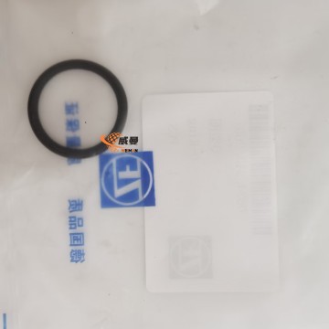 0634313260 O-ring 0.01kg 0634 313 260 o-ring 0634313260 4110000076379 SP100077 4110001394104 for ZF 4WG180 4WG200