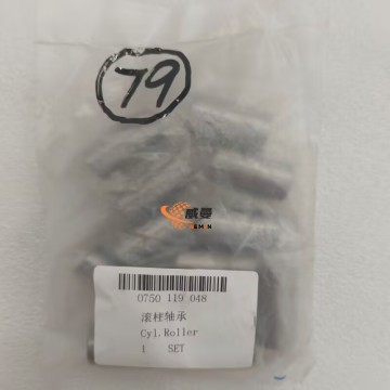ZF 0750119048 Roller 4110000076322 for machine with Good Quality&Price