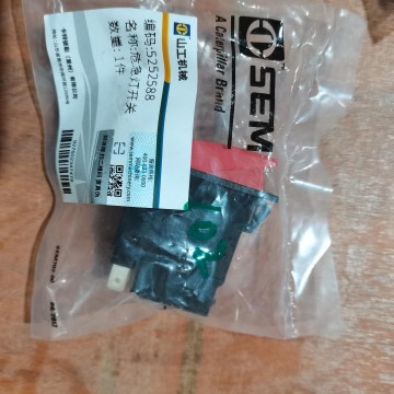 5252588 critical light switch