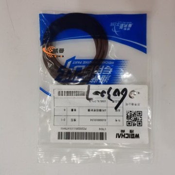 61000010134 Body seal