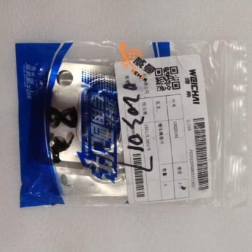 Weichai 13025181 Turbocharger Gasket for machine with Good Quality and Price