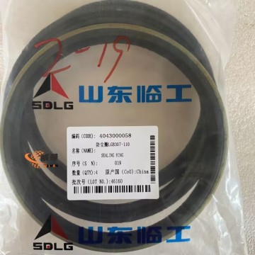 SDLG 4043000058 Sealing Ring for LG953 Wheel Loader with good price
