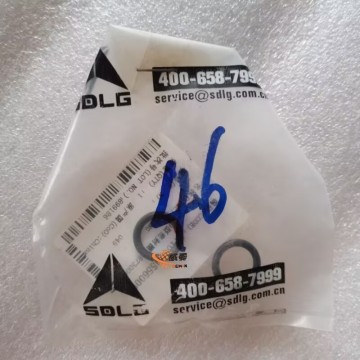 SDLG 4110000556009 O-Ring for machine with good price