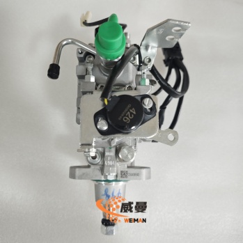 Excavator Fuel Injection Pump 0002060286 0002060266 NJ-VE/11E1250R149 NJ-VE4/11E1100R216 0005060098 for Quanchai Engine 4D27G31 4D27ZT32/656