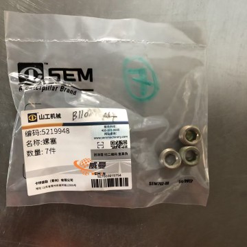 B110200104 Bowl plug spare parts  high-quality B110200104