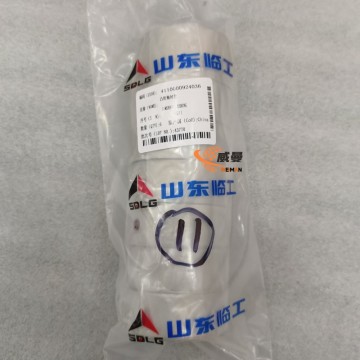 SDLG 4110000924036 Camshaft Bushing - 0.1KG Critical Rotational Support Component