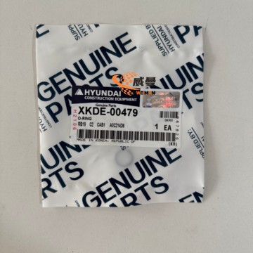 The Original XKDE-00479 O-Ring 0.01kgs for R260LC9S, R360LC9, R430LC9, RD220-7, RD220LC9
