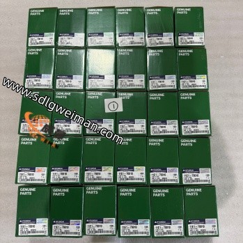 Hyundai Excavator Parts 11E1-70010 FILTER-FUEL ENGINE for R210LC7 R210LC3 R220-9S R225-7 R330LC9S R300LC9S
