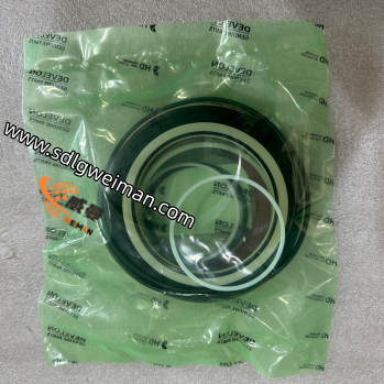 DOOSAN & DEVELON 401107-01220 SAELING KIT BOOM