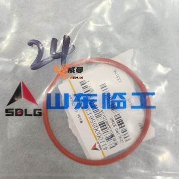 SDLG 4110000556136 Precision Seal Ring - 0.01KG Compact Sealing Component